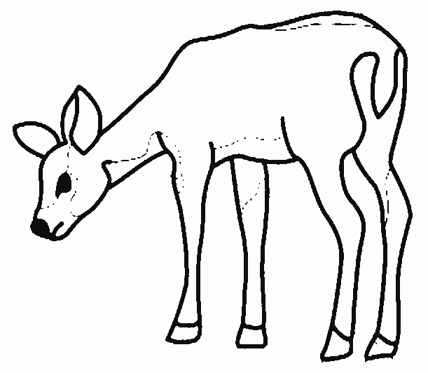 coloriage jolie biche